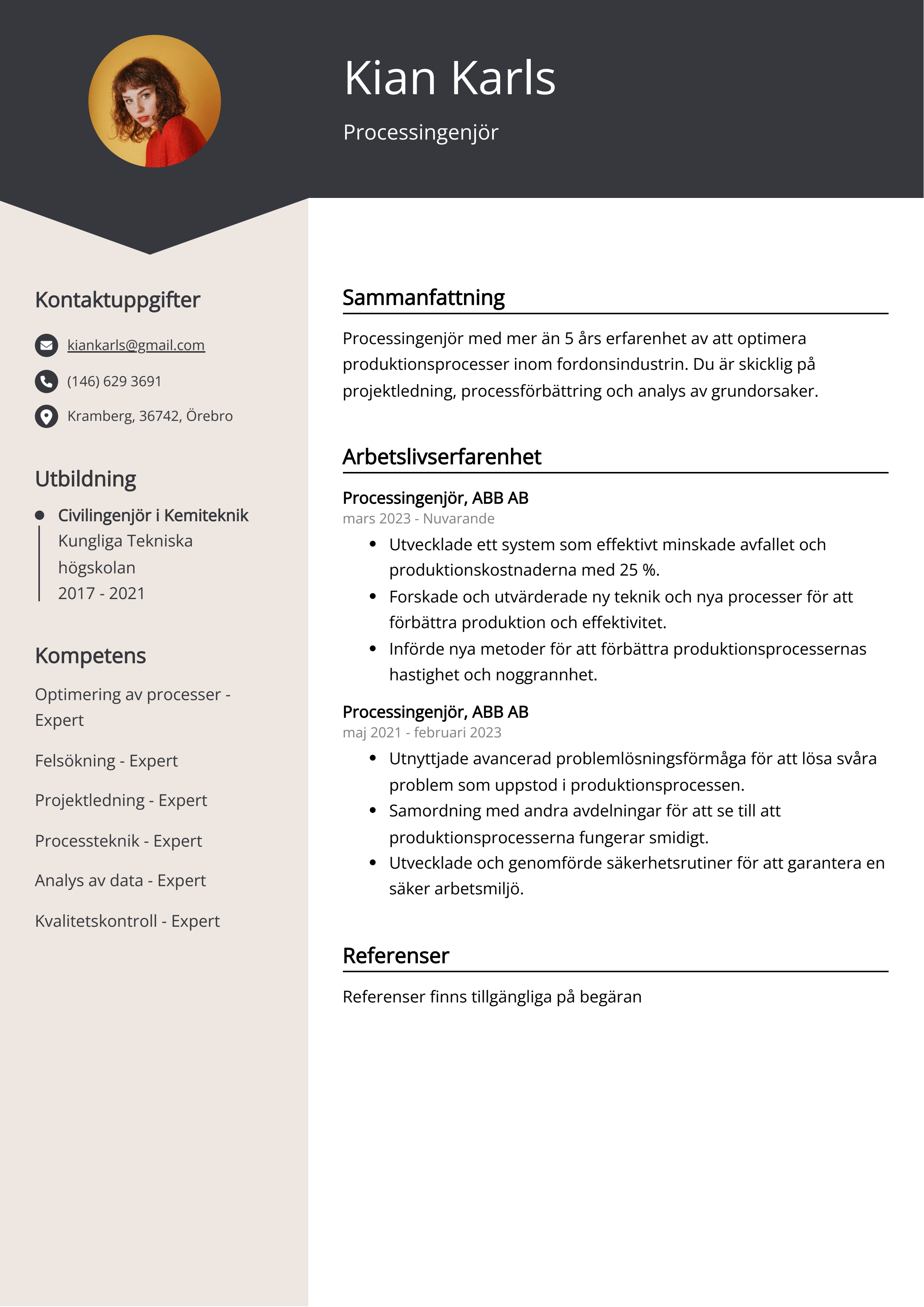 Processingenjör CV Exempel