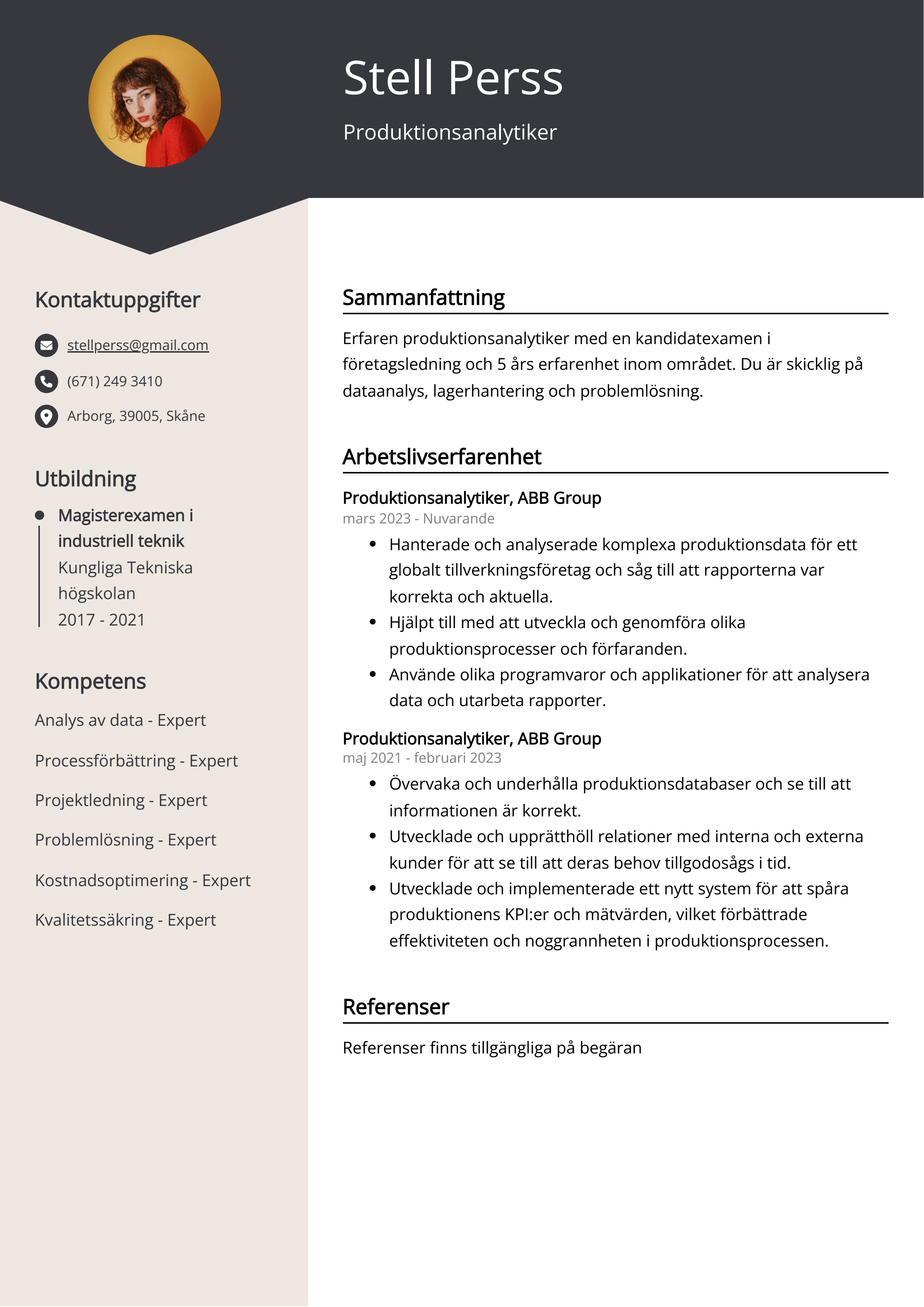 Produktionsanalytiker CV Exempel