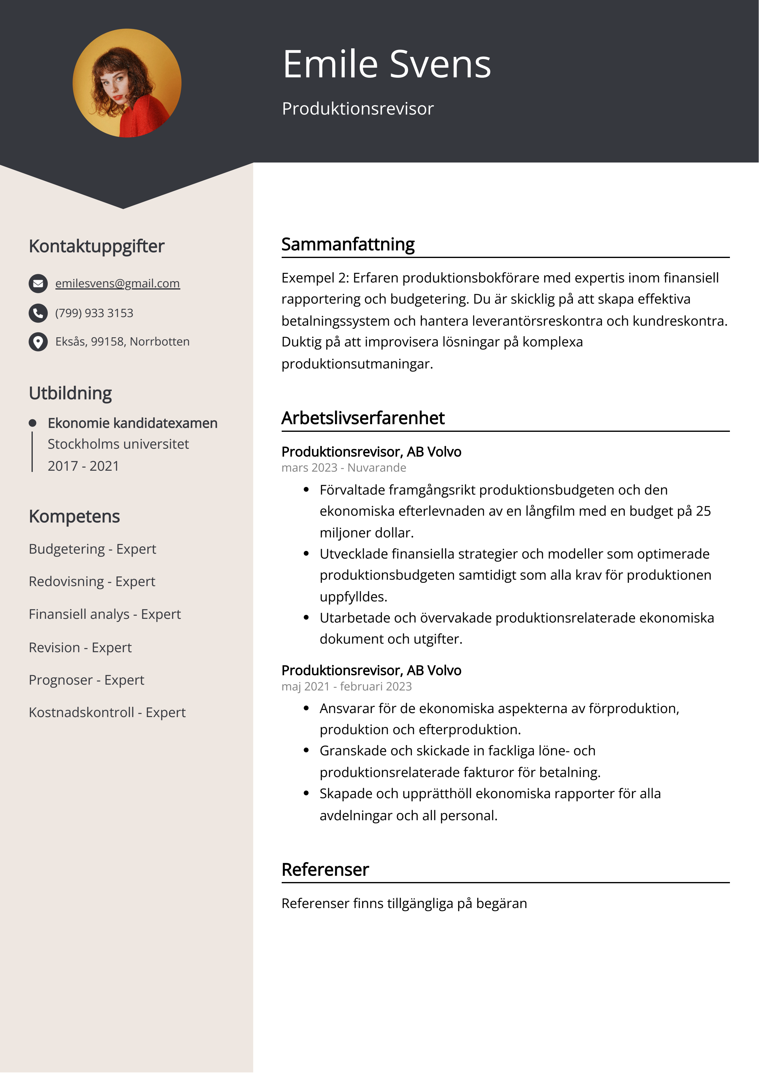 Produktionsrevisor CV Exempel