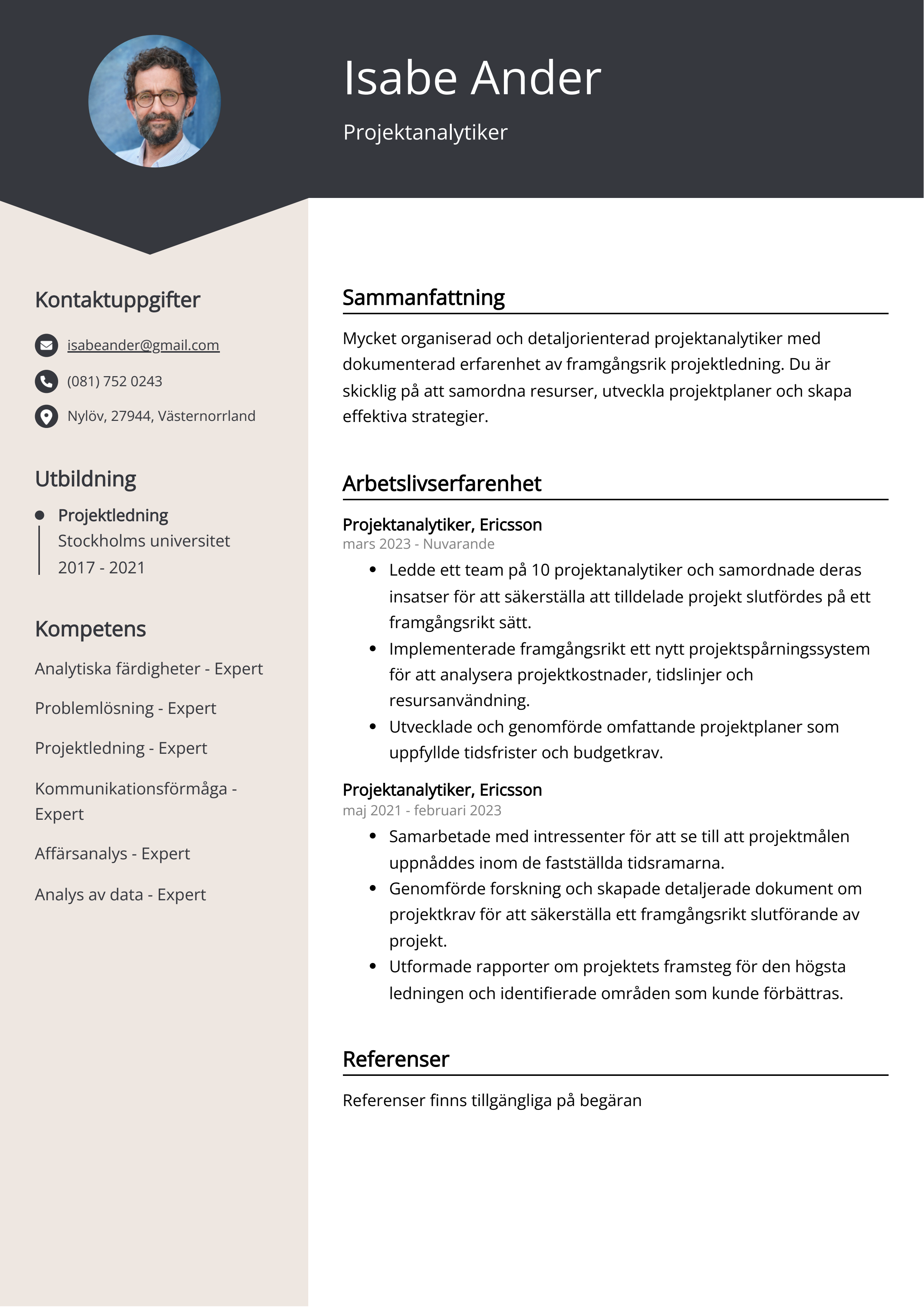 Projektanalytiker CV Exempel