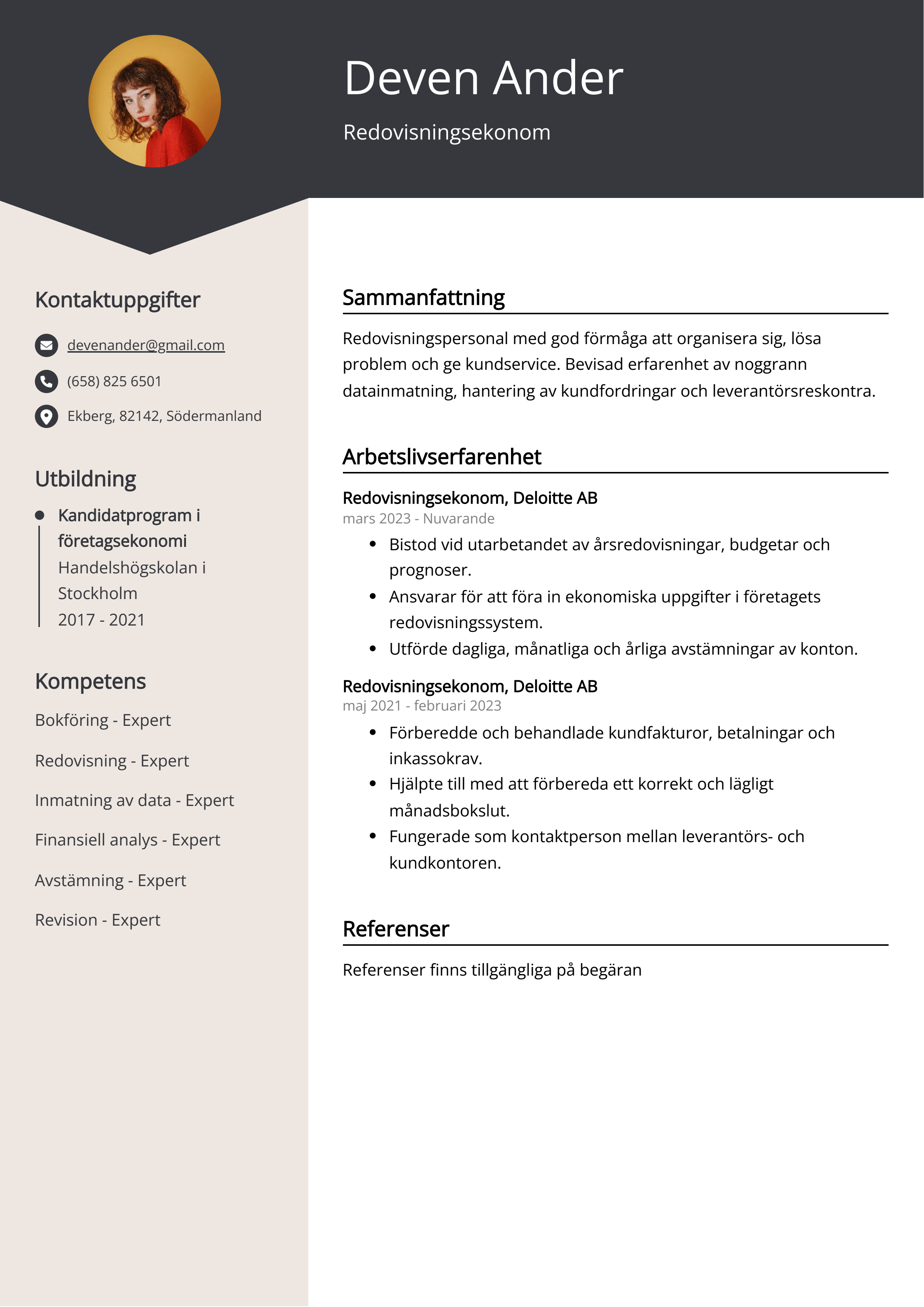 Redovisningsekonom CV Exempel