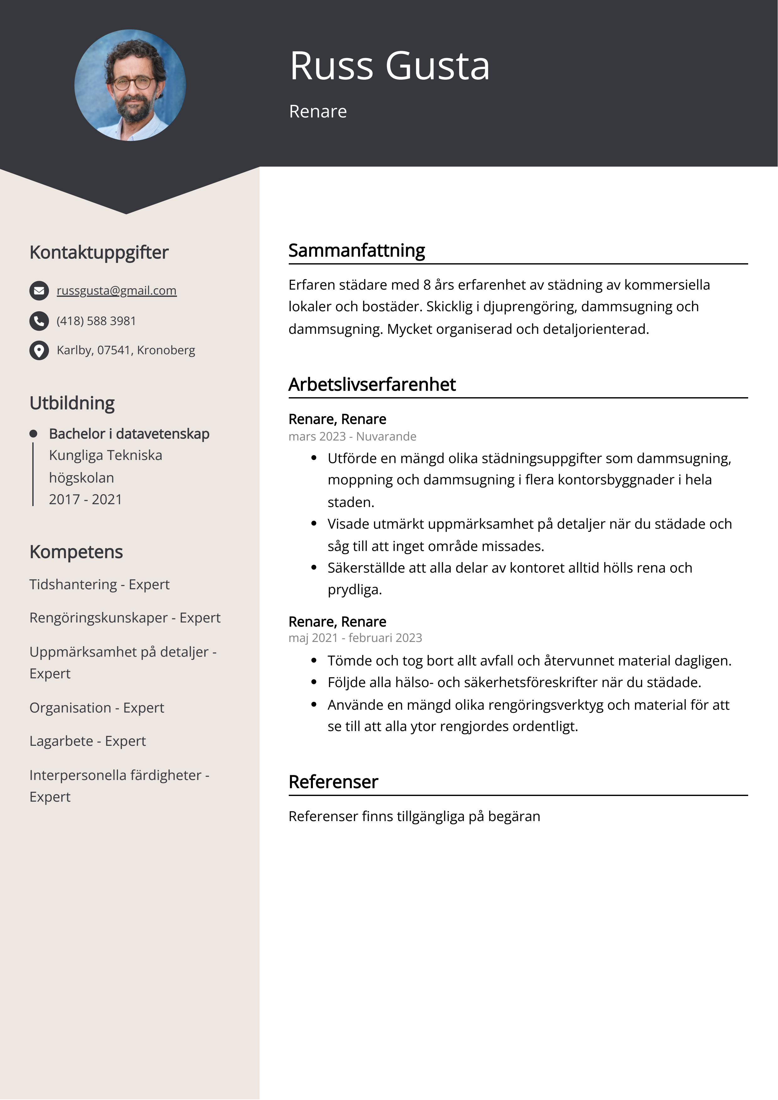 Exempel på CV för Renare