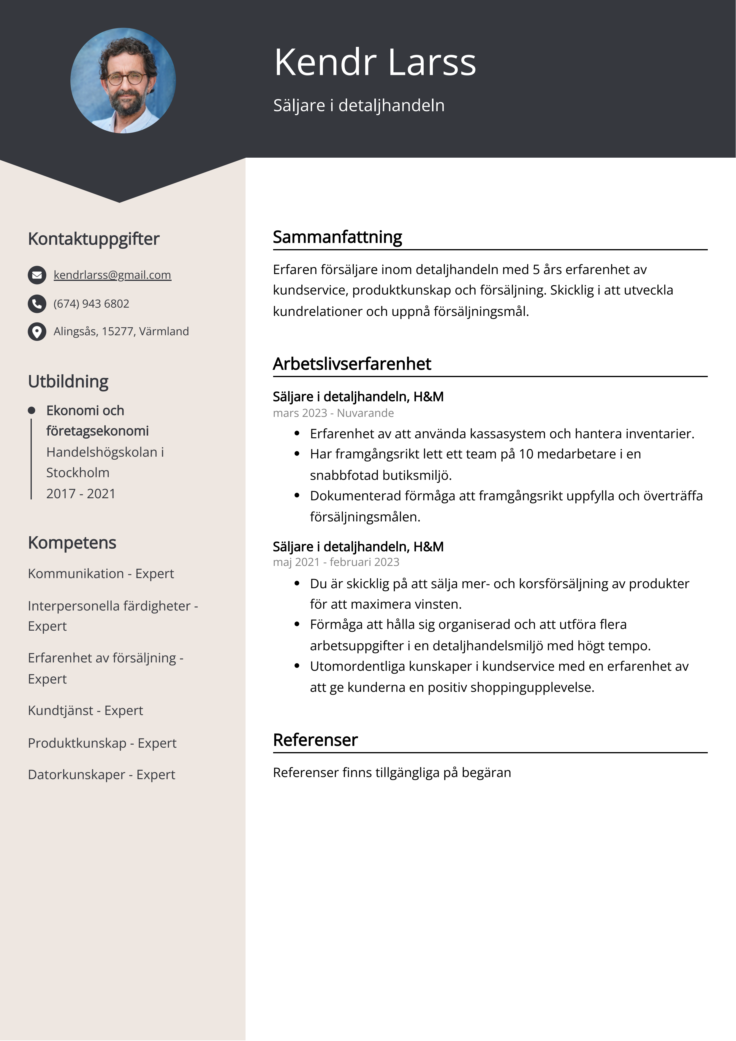 Säljare i detaljhandeln Resumé Exempel