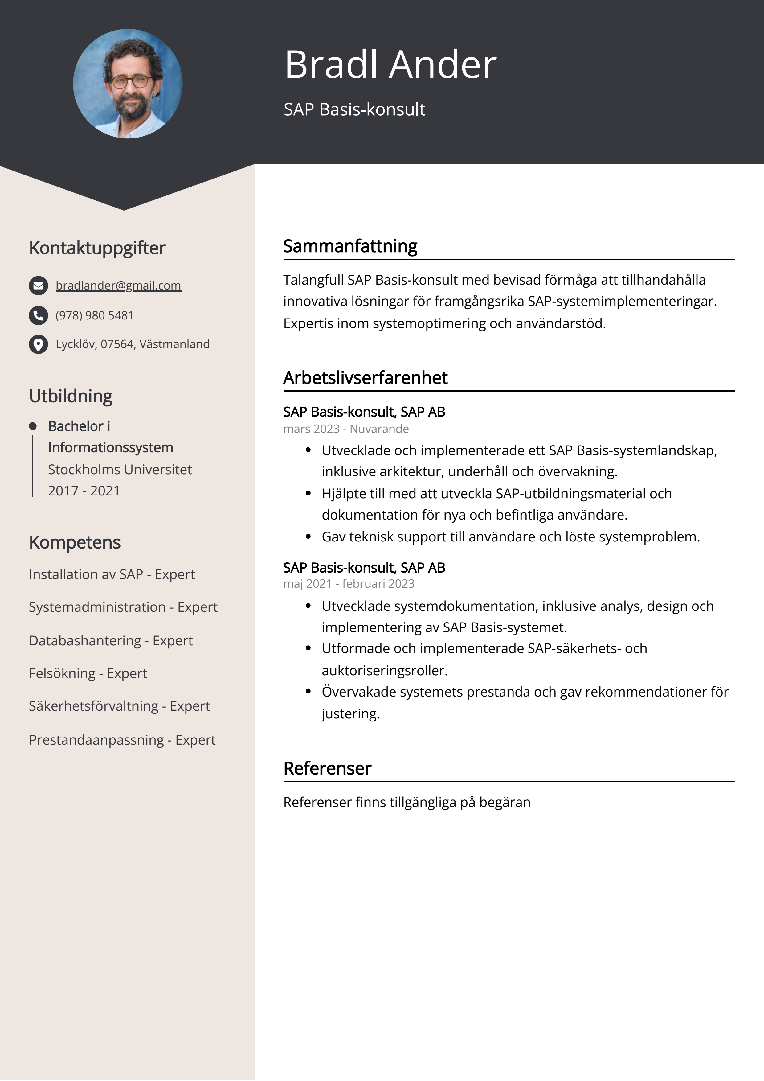 Exempel på CV för SAP baskonsult