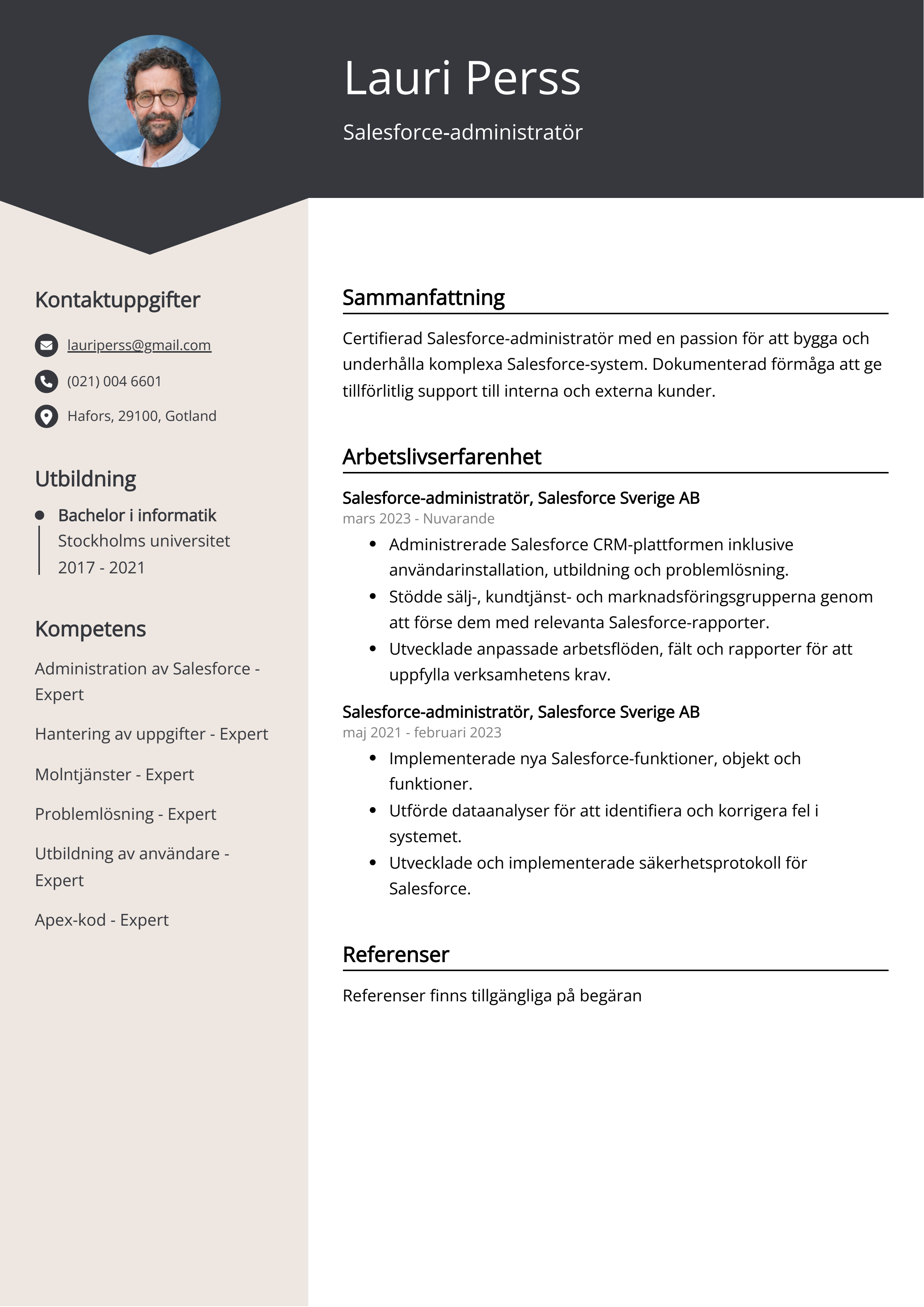 Salesforce-administratör CV Exempel