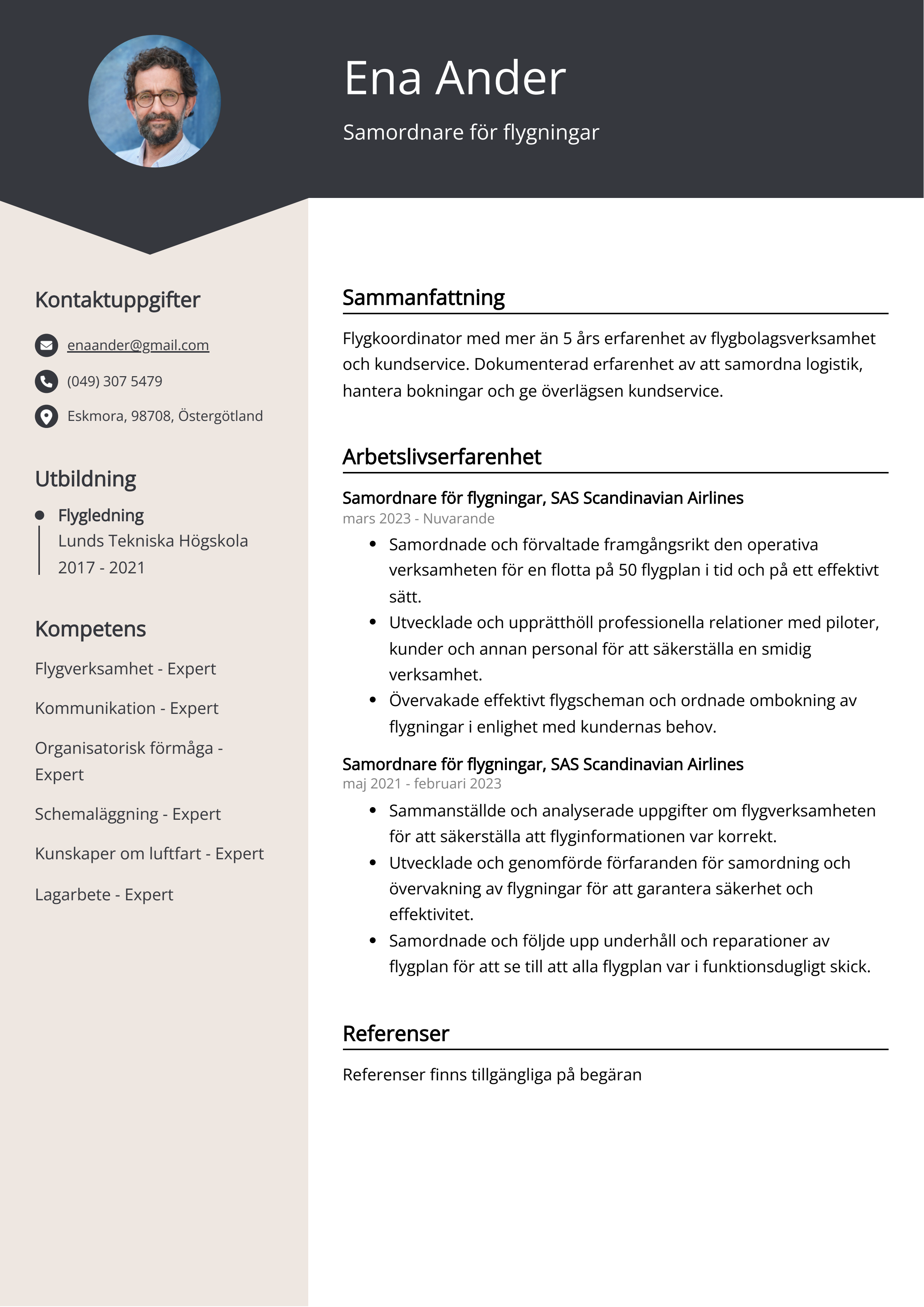 Samordnare för flygningar Resumé Exempel