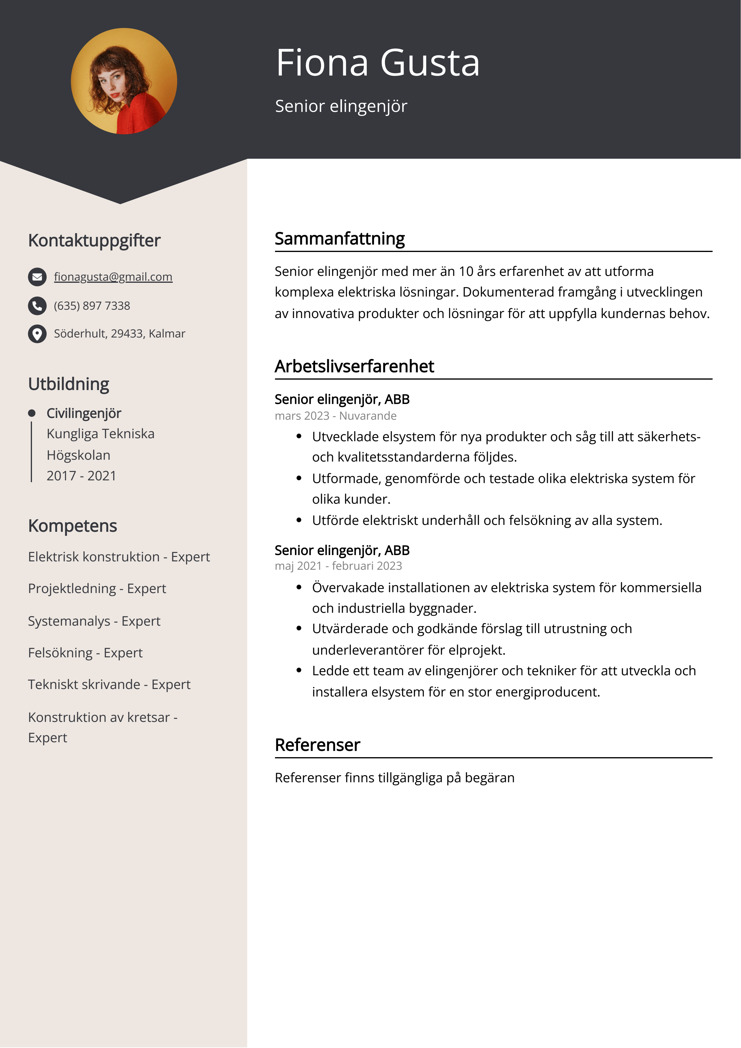 Senior elingenjör CV Exempel