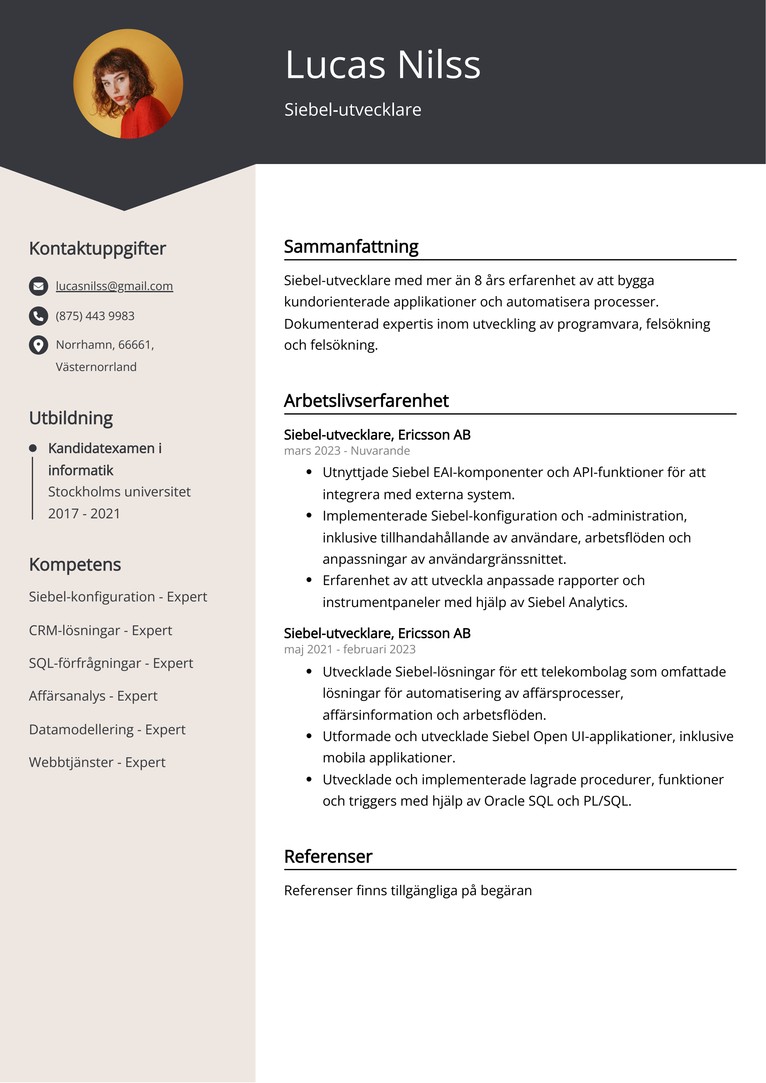 Siebel-utvecklare CV exempel