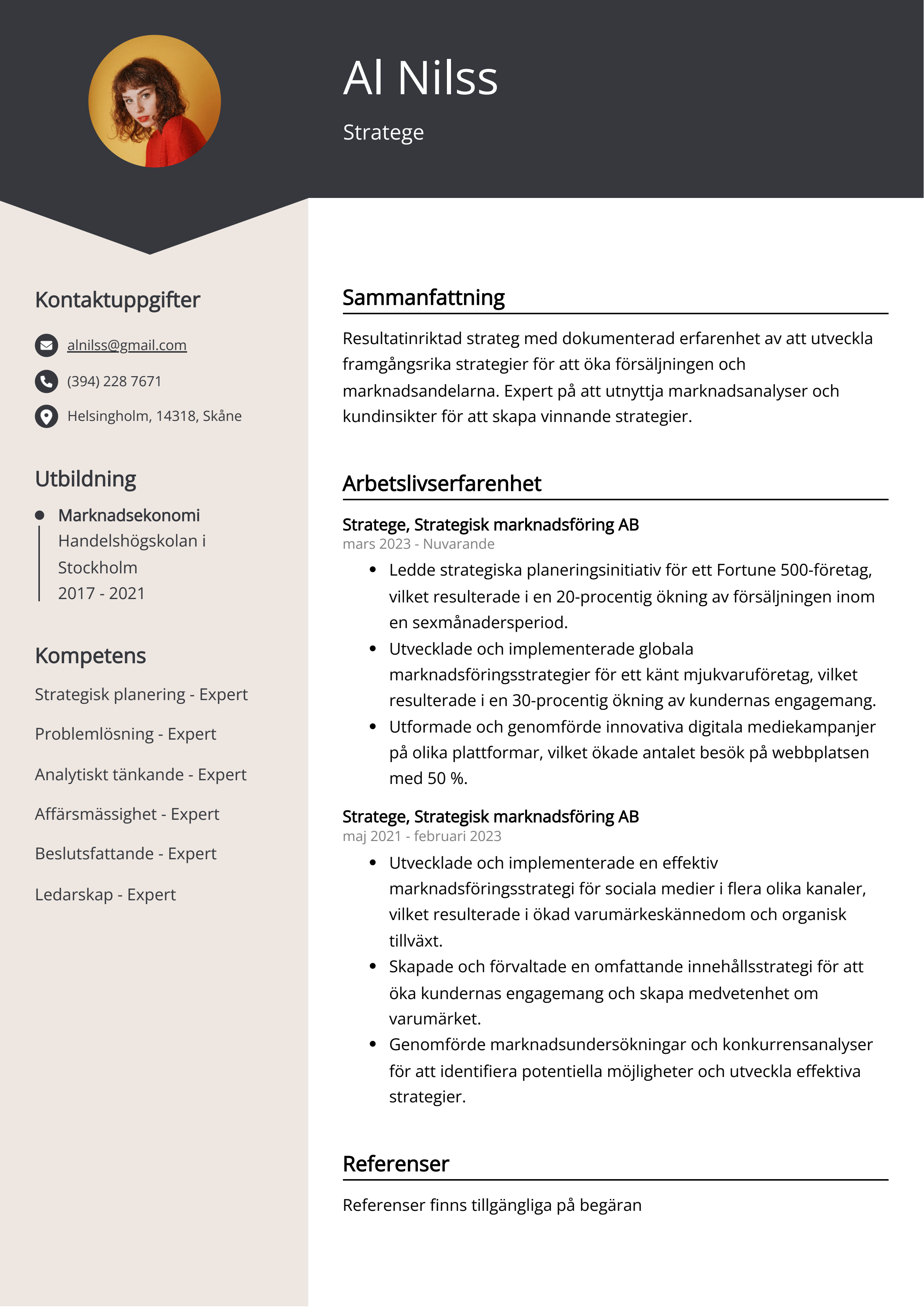 Stratege CV exempel