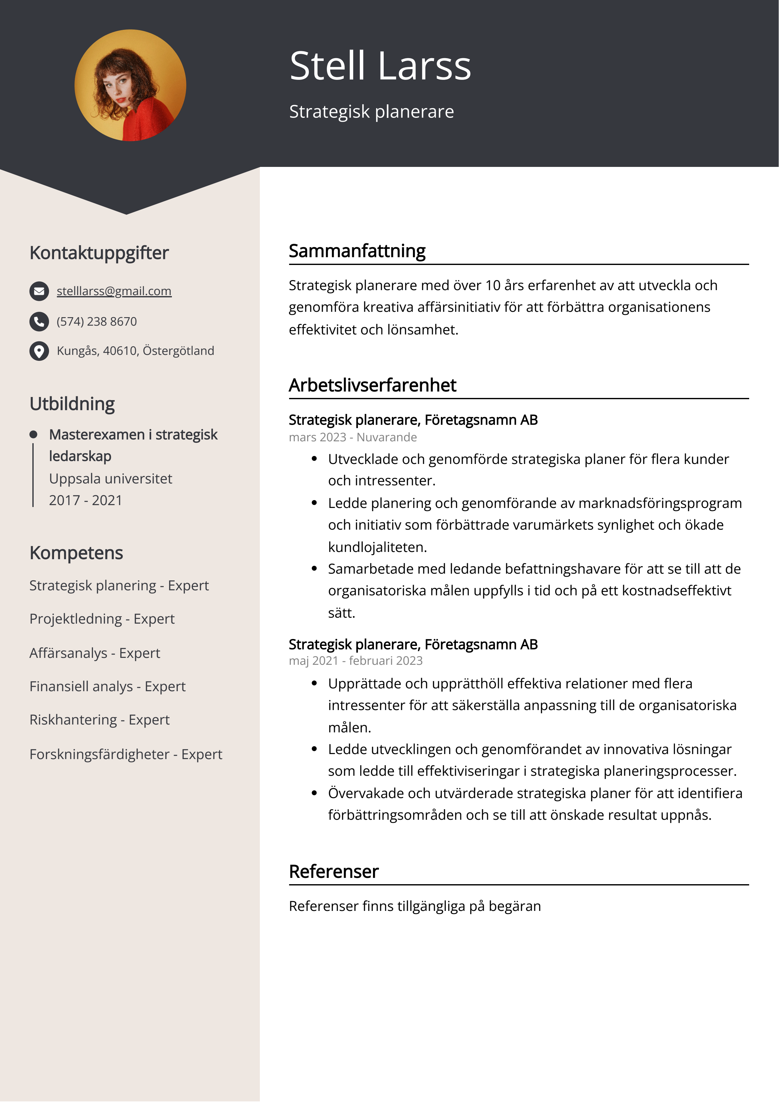 Strategisk planerare CV Exempel