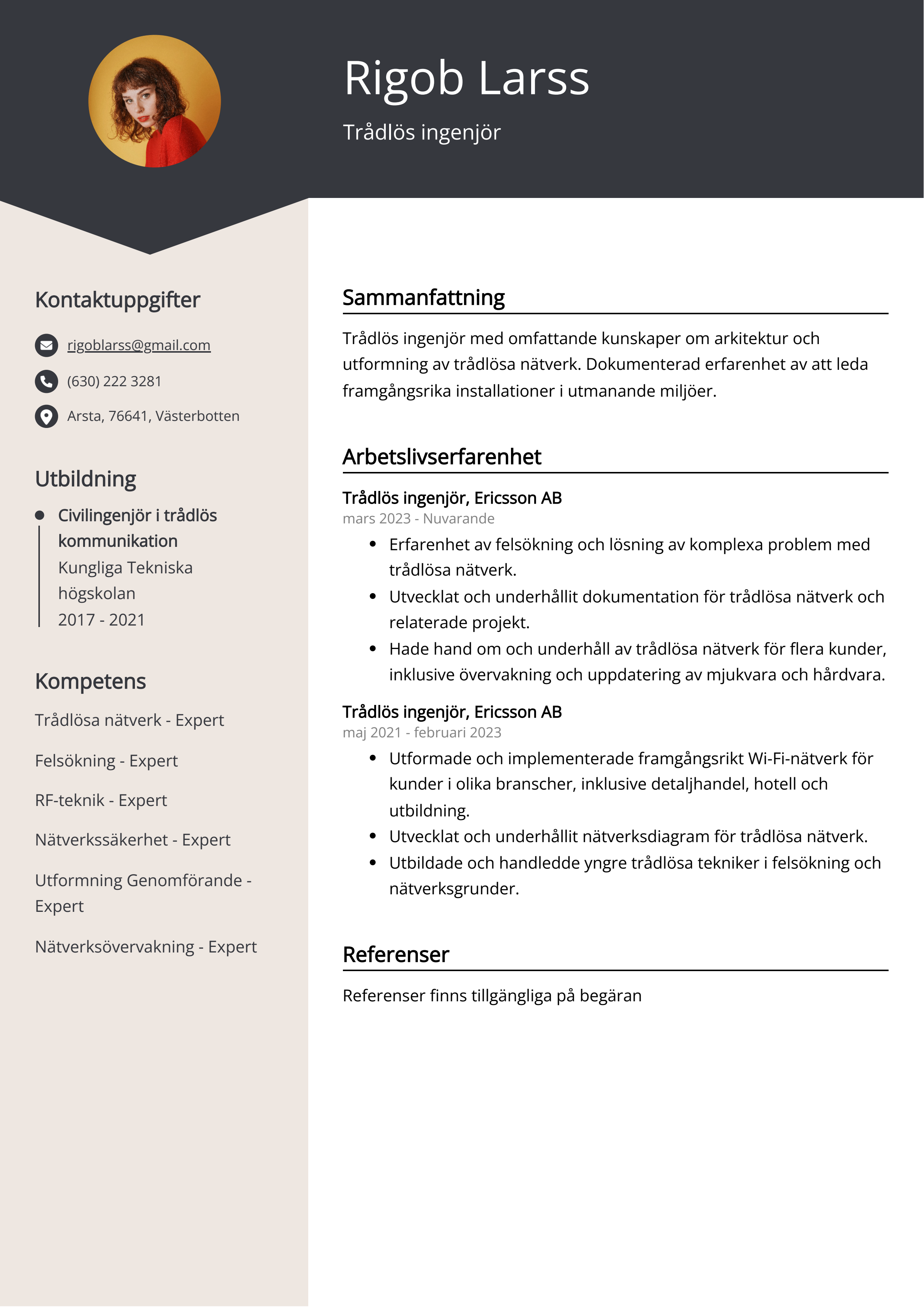 Trådlös ingenjör CV Exempel