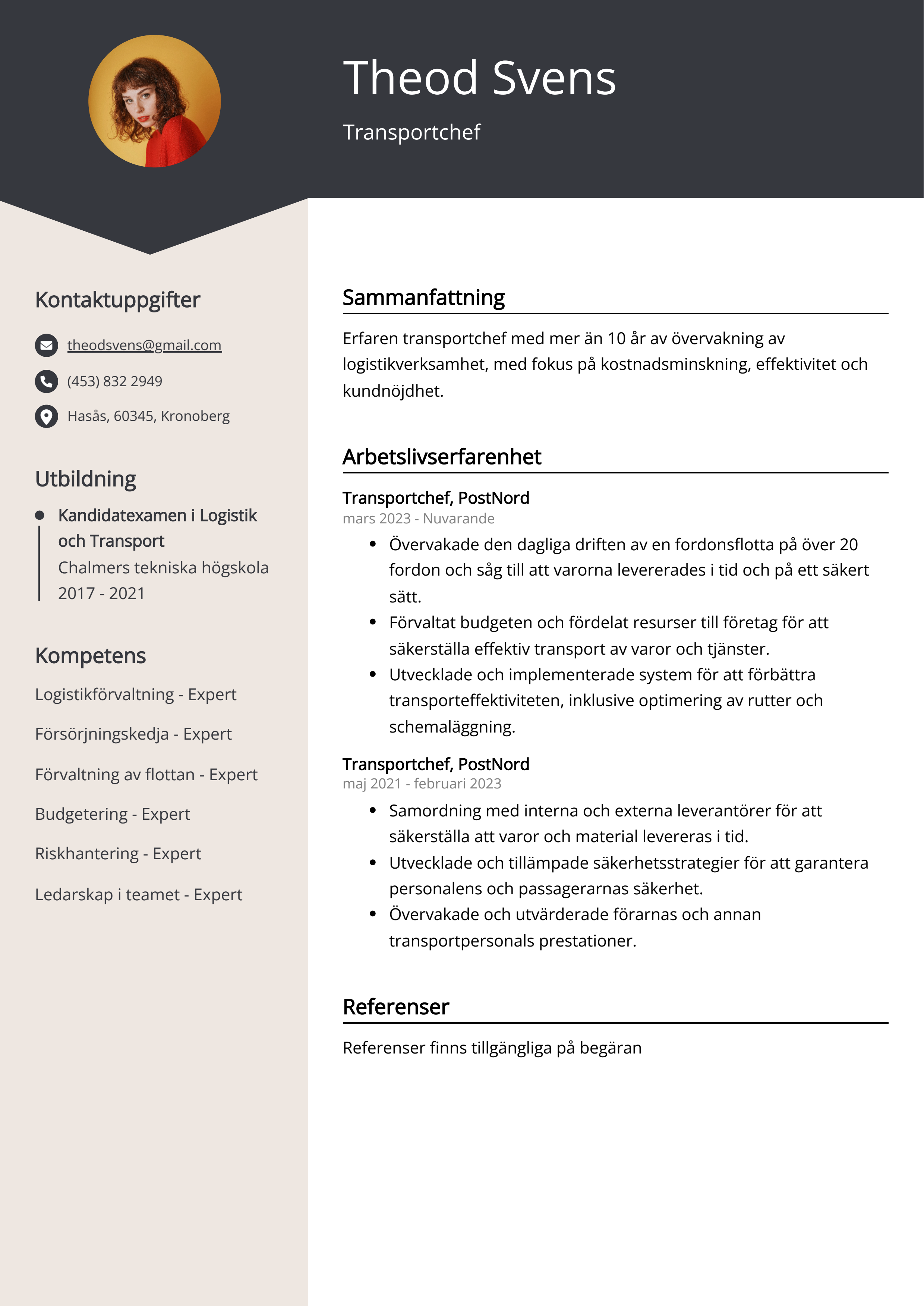 Exempel på CV för transportchef