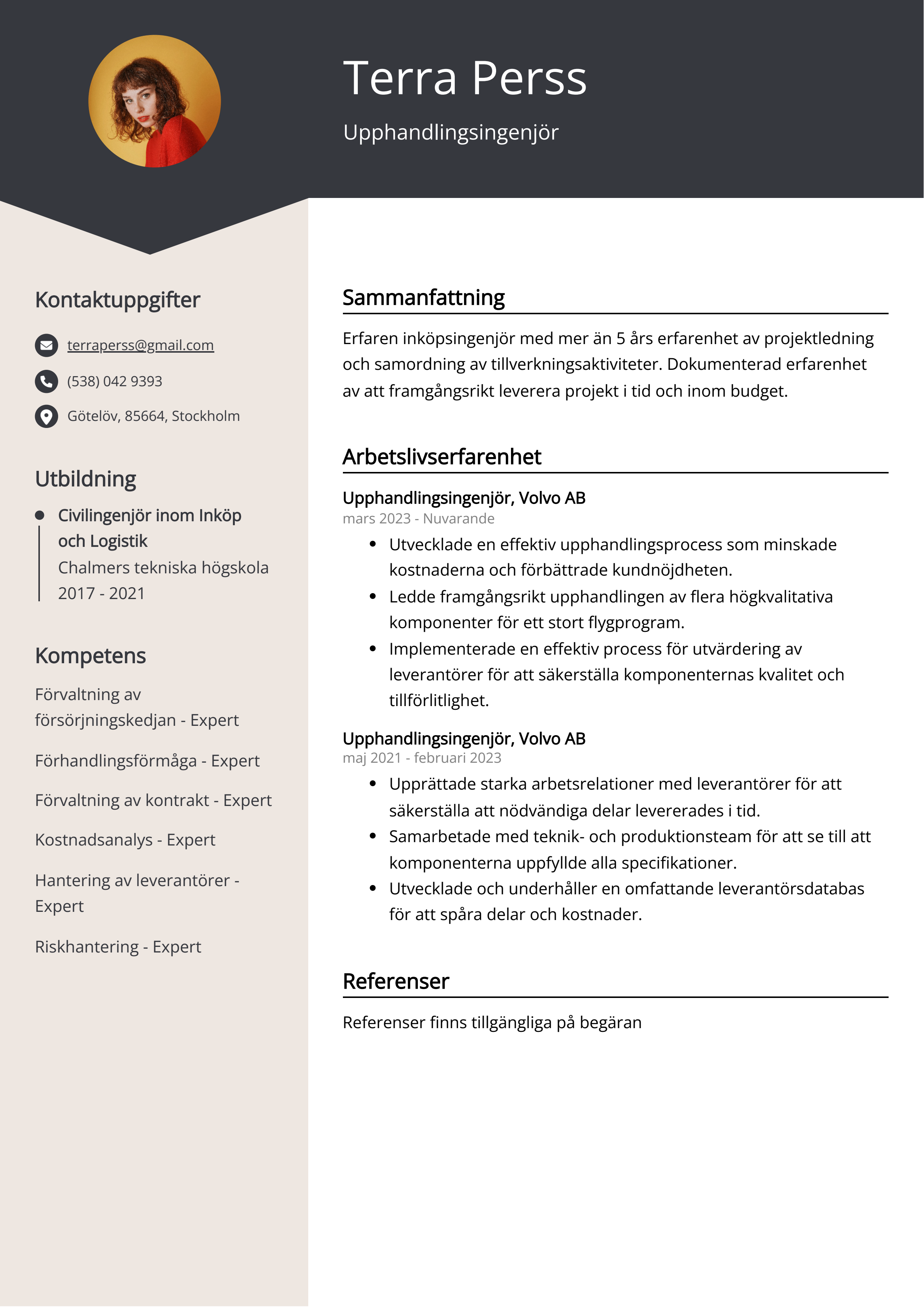 Upphandlingsingenjör CV Exempel