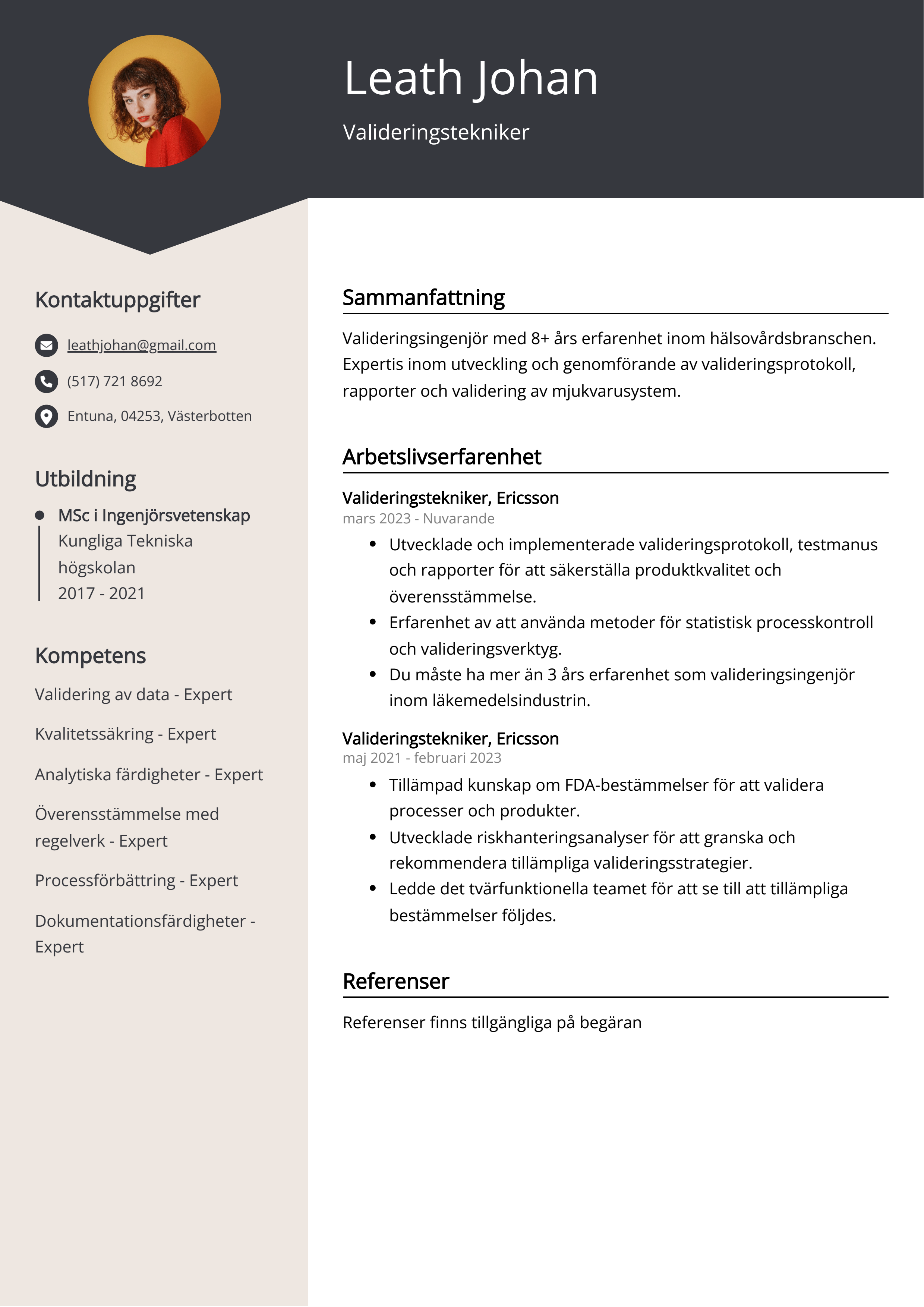 Valideringstekniker CV Exempel