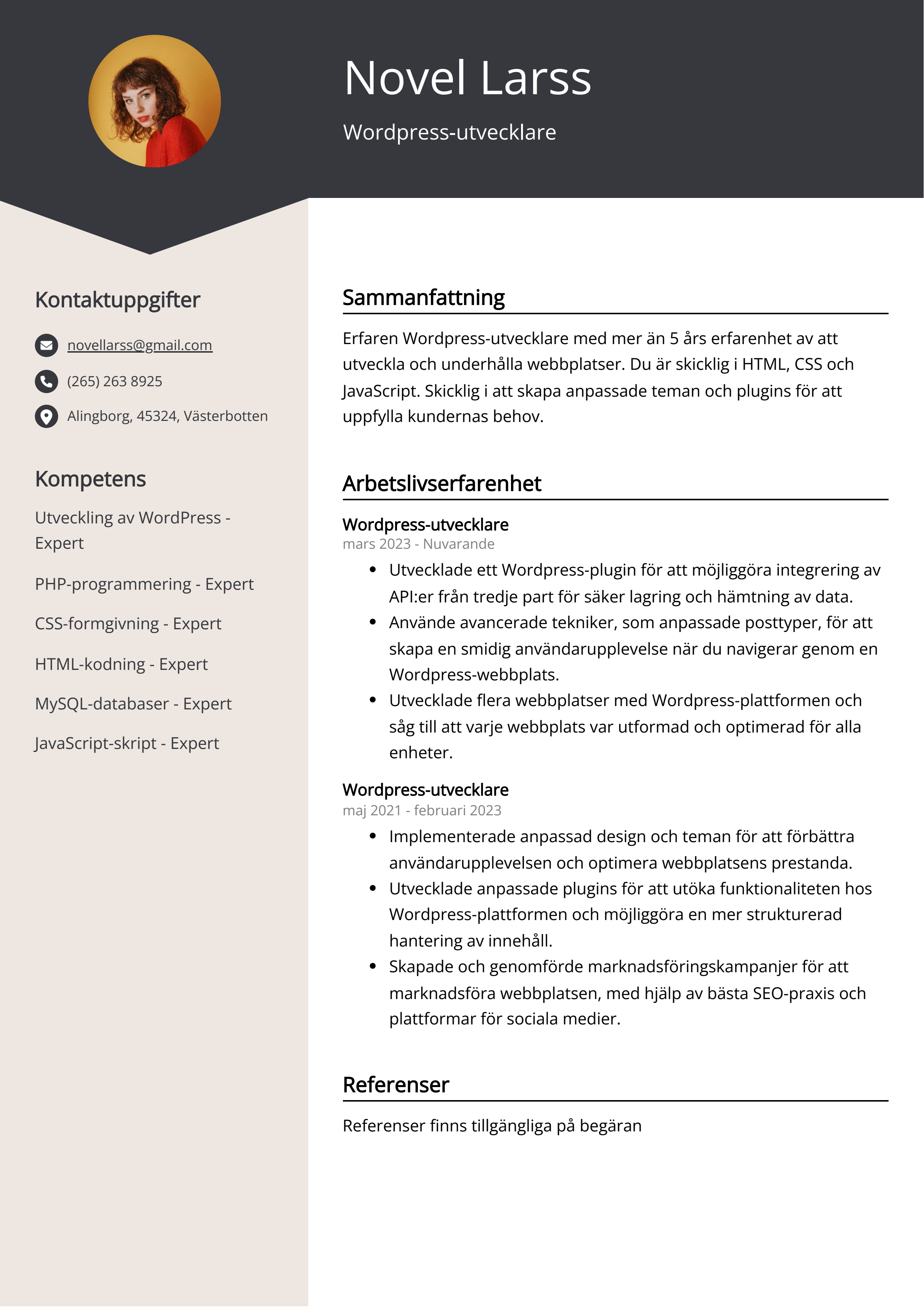 Wordpress-utvecklare CV Exempel